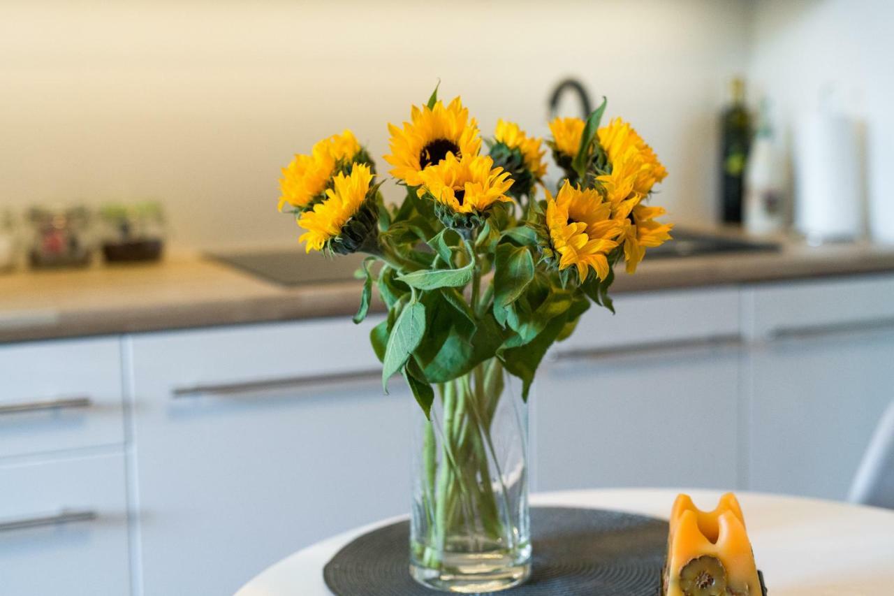 קרקוב Sunflower Apartment מראה חיצוני תמונה